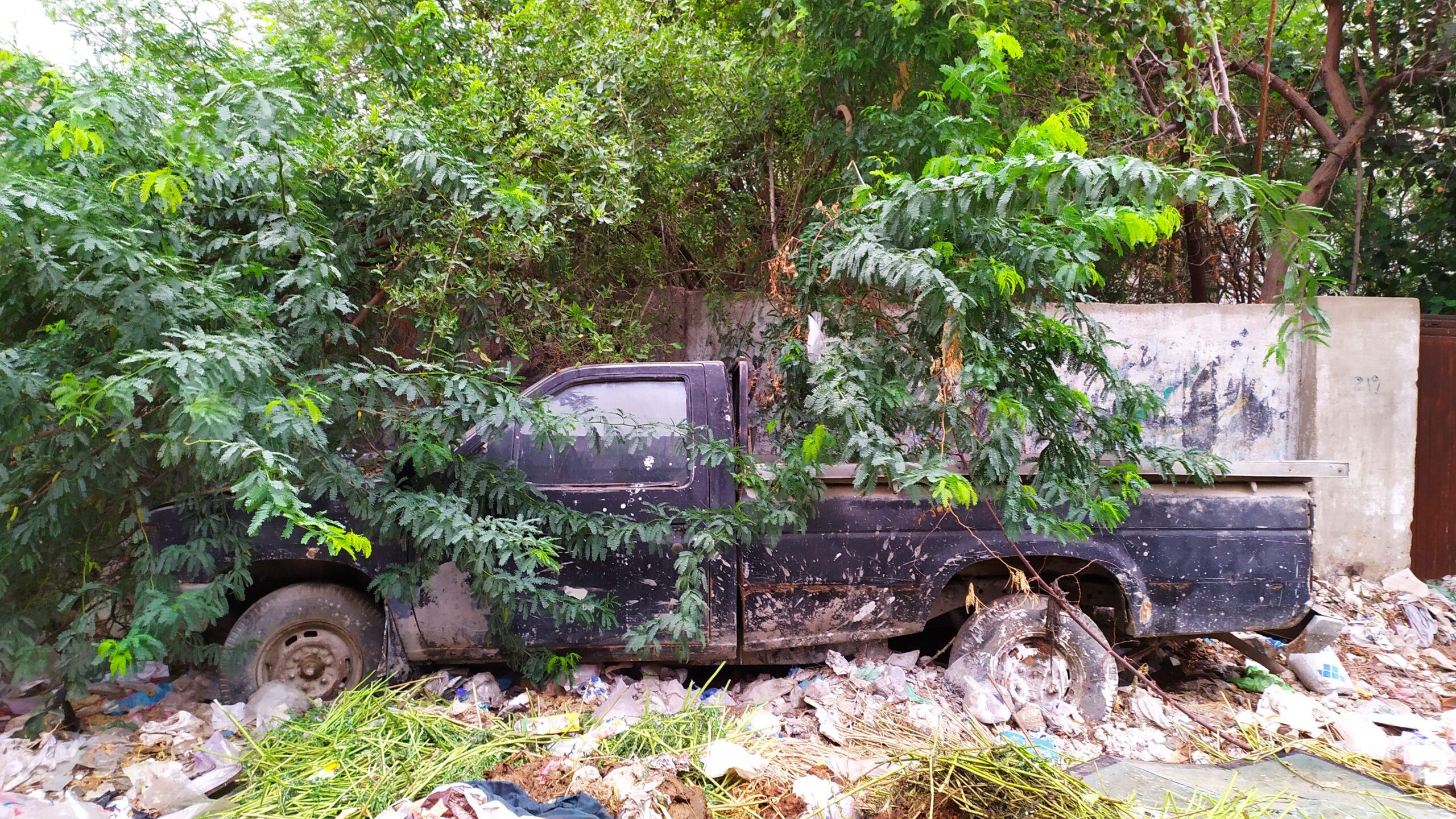 Abandoned Cars
